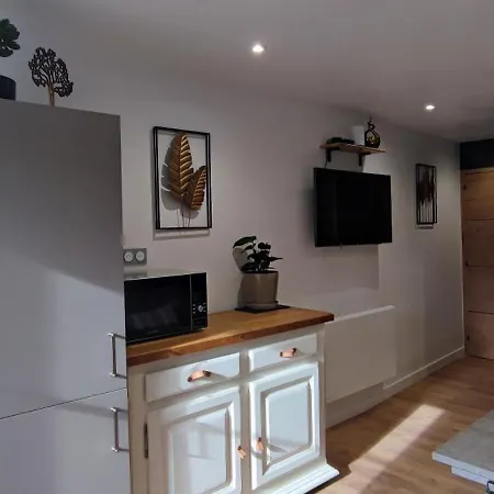 Apartment T2 Neuf Quartier Historique Aurillac